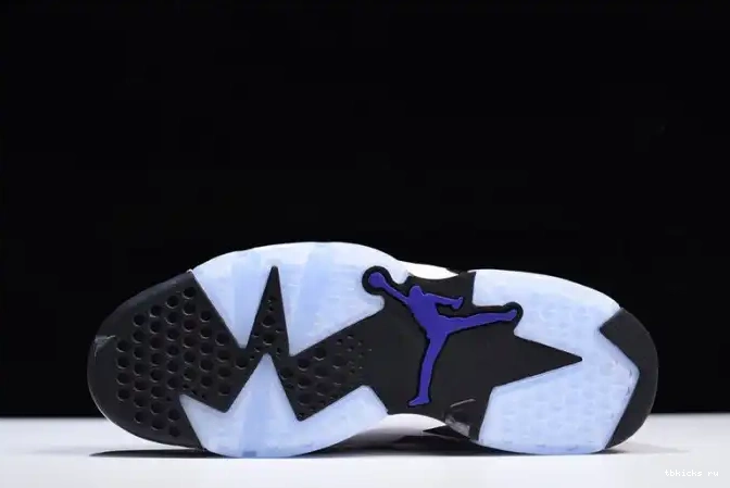 Reps TB Grey Air Jordan 6 CI3125-100 Flint 0622